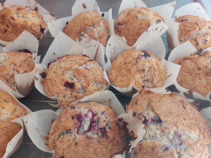 Blueberry and raspberry muffins