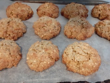 Oat and Chocolate Chip Cookies