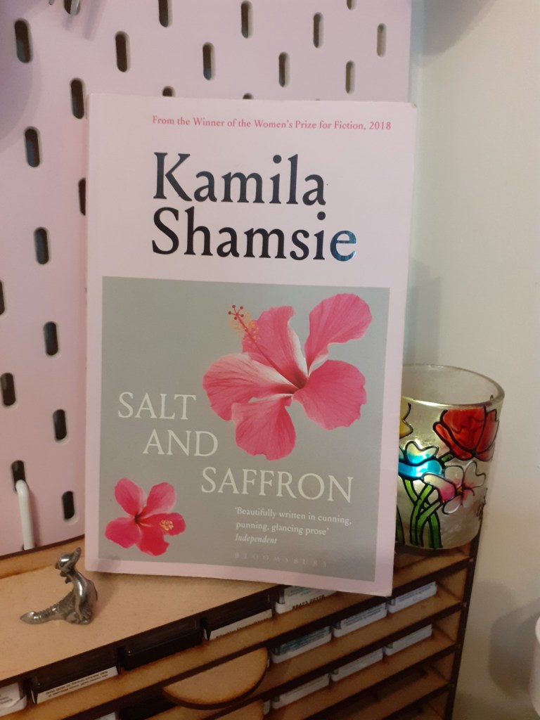 Image shows a novel.